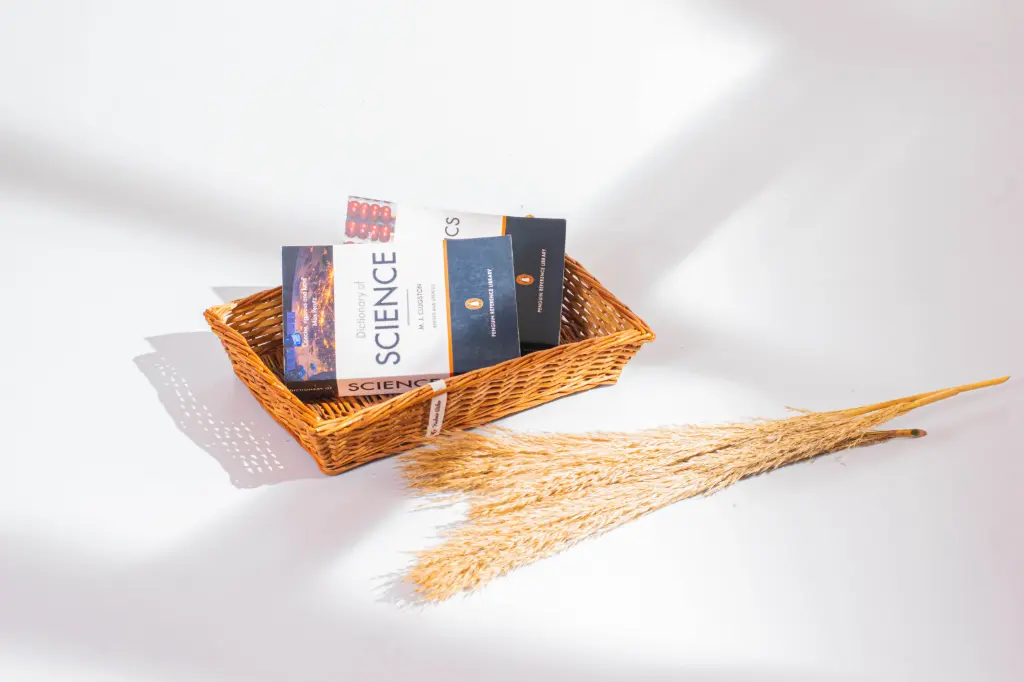 Handcrafted Rectangular Willow Wicker Tray – Elegant Serving & Storage Basket